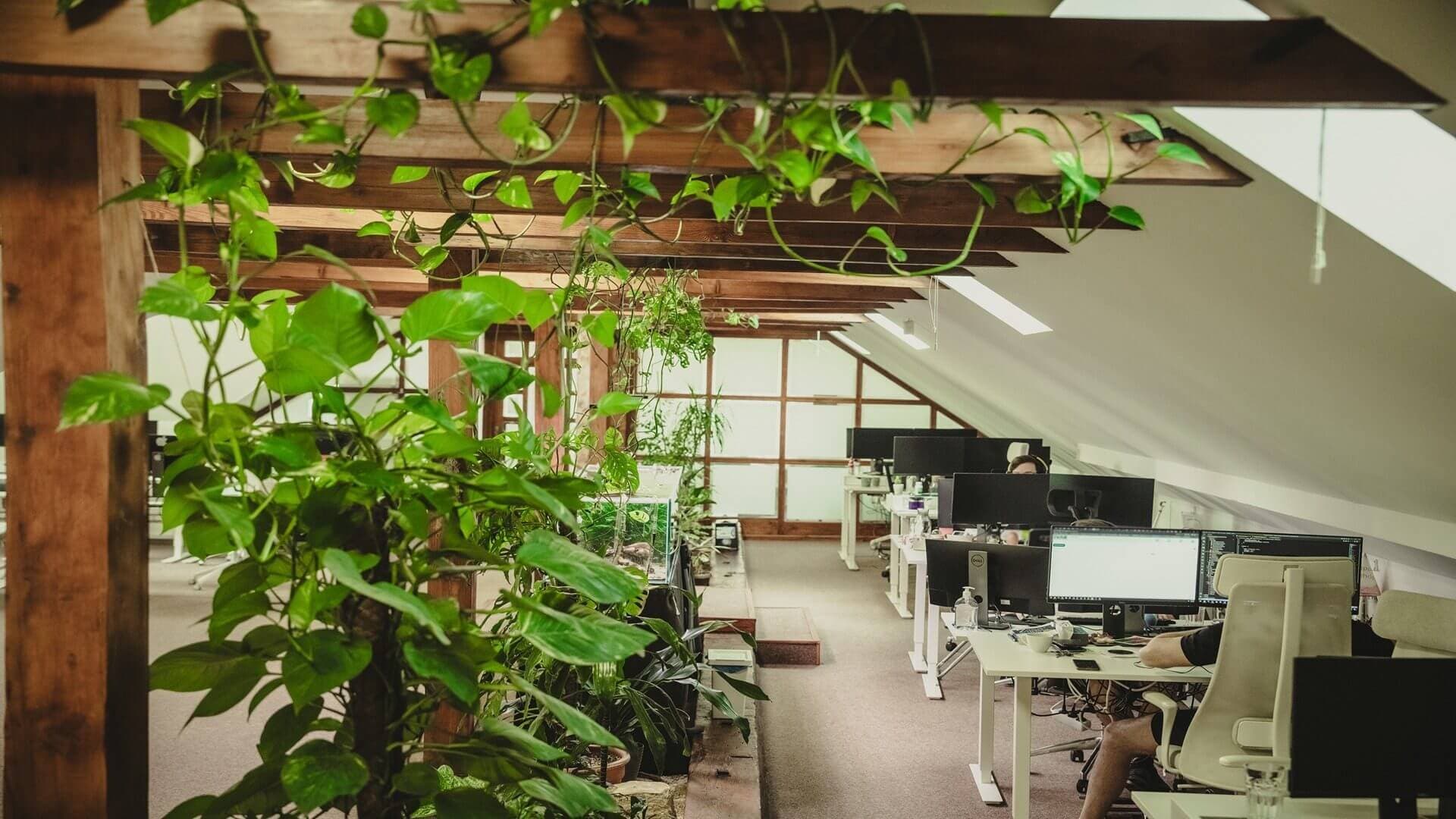 Green digital mesh network, symbolizing sustainable finance and ESG compliance